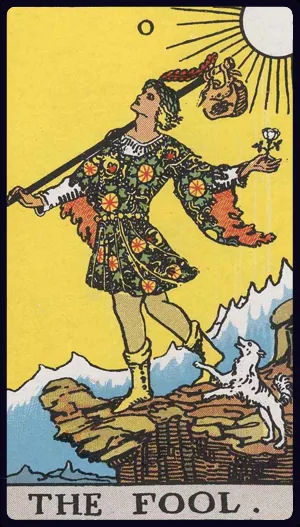 바보 (The Fool)