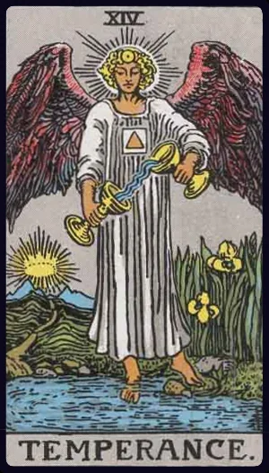 절제 (Temperance)